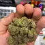 Patient Image of Cookies® C-CMI T26 Cereal Milk Medical Cannabis