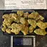Patient Image of Greyscales GD T26 Gelato Dream Medical Cannabis