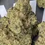 Patient Image of Green Karat LM T27 London Marker Medical Cannabis