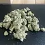Patient Image of 4C Labs Craft Select HWF T31 Hawaiian Fanta Medical Cannabis
