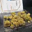 Patient Image of CannFX Stratus T20 Wappa Medical Cannabis
