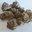 Patient Image of Big Narstie Medical MG T15 Minted Grape Medical Cannabis