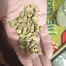 Patient Image of 4C Labs JFG Smalls T24 Jet Fuel Gelato Medical Cannabis