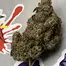 Patient Image of 4C Labs Craft Select SZ T17 Sudz Medical Cannabis