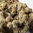 Patient Image of SafriCanna GT T23 Garlic Truffle Medical Cannabis
