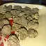 Patient Image of 4C Labs Craft Select GRZ T26 Green Runtz Medical Cannabis