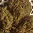 Patient Image of Superseed GTI PI T30 Gelatti Pie Medical Cannabis