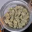 Patient Image of Big Narstie Medical T21 Gelatti Medical Cannabis