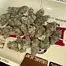 Patient Image of Common Roots MW T25 Maui Wowie Medical Cannabis