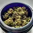 Patient Image of Canopy Growth® AKH T22 Afghan Kush Medical Cannabis