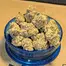 Patient Image of Medicus FPK T27 Fruity Pebble Kush Medical Cannabis