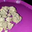 Patient Image of IPS CM T28 Cherry Mints Medical Cannabis