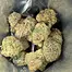 Patient Image of CannFX PM T28 Permanent Marker Medical Cannabis