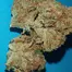 Patient Image of Big Narstie Medical GK T28 Gorilla Kush Medical Cannabis