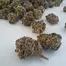 Patient Image of Big Narstie Medical MG T15 Minted Grape Medical Cannabis