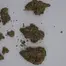 Patient Image of Plantations Cérès MAK T25 Mango K Medical Cannabis