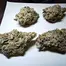 Patient Image of IPS MAC3 T22 Miracle Alien Cookies Medical Cannabis