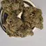 Patient Image of Green Karat PV T30 Pavé S1 Medical Cannabis