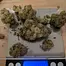Patient Image of Green Karat SD T28-T29 Supreme Diesel Medical Cannabis