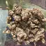 Patient Image of 4C Labs Core SCK T25 Strawberry Cake Medical Cannabis