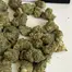 Patient Image of Phant SGU Smalls T22 Strawberry Guava Medical Cannabis
