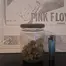 Patient Image of Find ZKS Smalls T23 Zookies Medical Cannabis