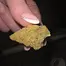 Patient Image of 4C Labs Craft MBD T27 Moby Dick Medical Cannabis