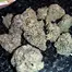 Patient Image of Mamedica® MA1 T25 Miracle Alien Cookies Medical Cannabis