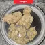 Patient Image of Plantations Cérès MAK T25 Mango K Medical Cannabis