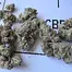 Patient Image of Cannada Craft DI T28 Dante's Inferno #8 Medical Cannabis