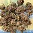 Patient Image of Sundaze® PMK T24 Permanent Marker Medical Cannabis
