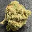 Patient Image of Curo® SB T22 Superboof Medical Cannabis