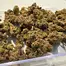 Patient Image of Lot420™ AB T27 Apples & Bananas Medical Cannabis