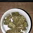 Patient Image of Adven® EMT-3 T20 Glory Glue Medical Cannabis