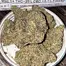 Patient Image of Miracle Valley Canada MAC-1+ T25 Miracle Alien Cookies Medical Cannabis