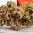 Patient Image of Grow® Pharma HJ T18 Herijuana Medical Cannabis