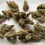 Patient Image of Dalgety KBQ T27 Korean BBQ Medical Cannabis