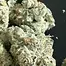 Patient Image of 4C Labs Craft Select HWF T31 Hawaiian Fanta Medical Cannabis