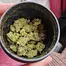 Patient Image of Big Narstie Medical PB-S Smalls T24 Papaya Bantz Medical Cannabis