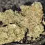 Patient Image of MedCan Isando T22 Birthday Cake Medical Cannabis