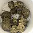 Patient Image of Noidecs T17 Night Queen Medical Cannabis