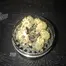 Patient Image of Lot420™ ROR T26-T28 Ripped Off Runtz Medical Cannabis