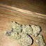 Patient Image of Vasco BB Smalls T28 Blueberry Banana Medical Cannabis