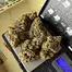 Patient Image of Green Karat LM T27 London Marker Medical Cannabis