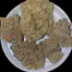 Patient Image of Green Karat FS T29 Fiji Sunset Medical Cannabis