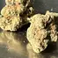 Patient Image of 4C Labs MSN T31 Morning Sun Medical Cannabis