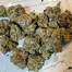 Patient Image of Plantations Cérès CJ T27 Cap Junky Medical Cannabis
