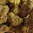 Patient Image of Packs™ T24 RS-11 Medical Cannabis