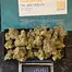 Patient Image of Four20 Pharma FRS T28 Frozen Lemons Medical Cannabis
