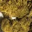 Patient Image of Lumir® KSC T26 Kush Cookies Medical Cannabis